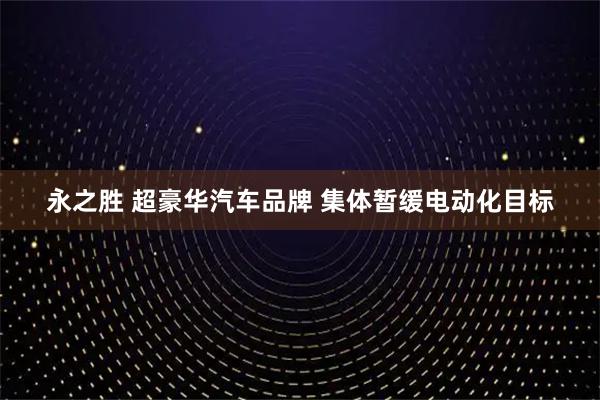 永之胜 超豪华汽车品牌 集体暂缓电动化目标