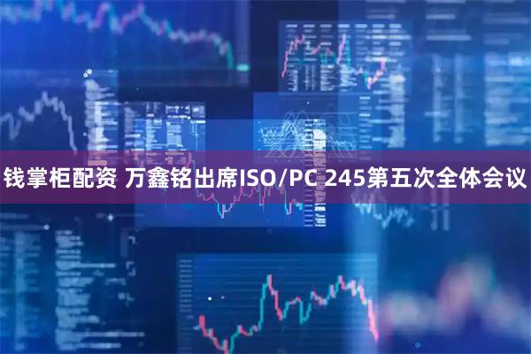 钱掌柜配资 万鑫铭出席ISO/PC 245第五次全体会议