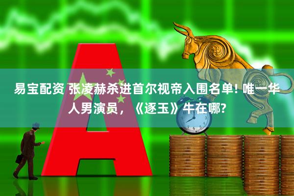 易宝配资 张凌赫杀进首尔视帝入围名单! 唯一华人男演员，《逐玉》牛在哪?